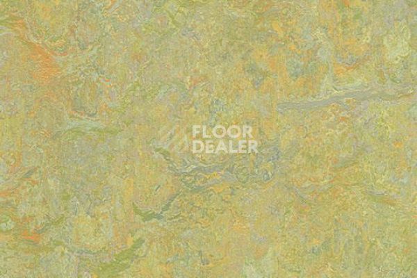 Линолеум Marmoleum Decibel on Order 341335 green melody фото 1 | FLOORDEALER